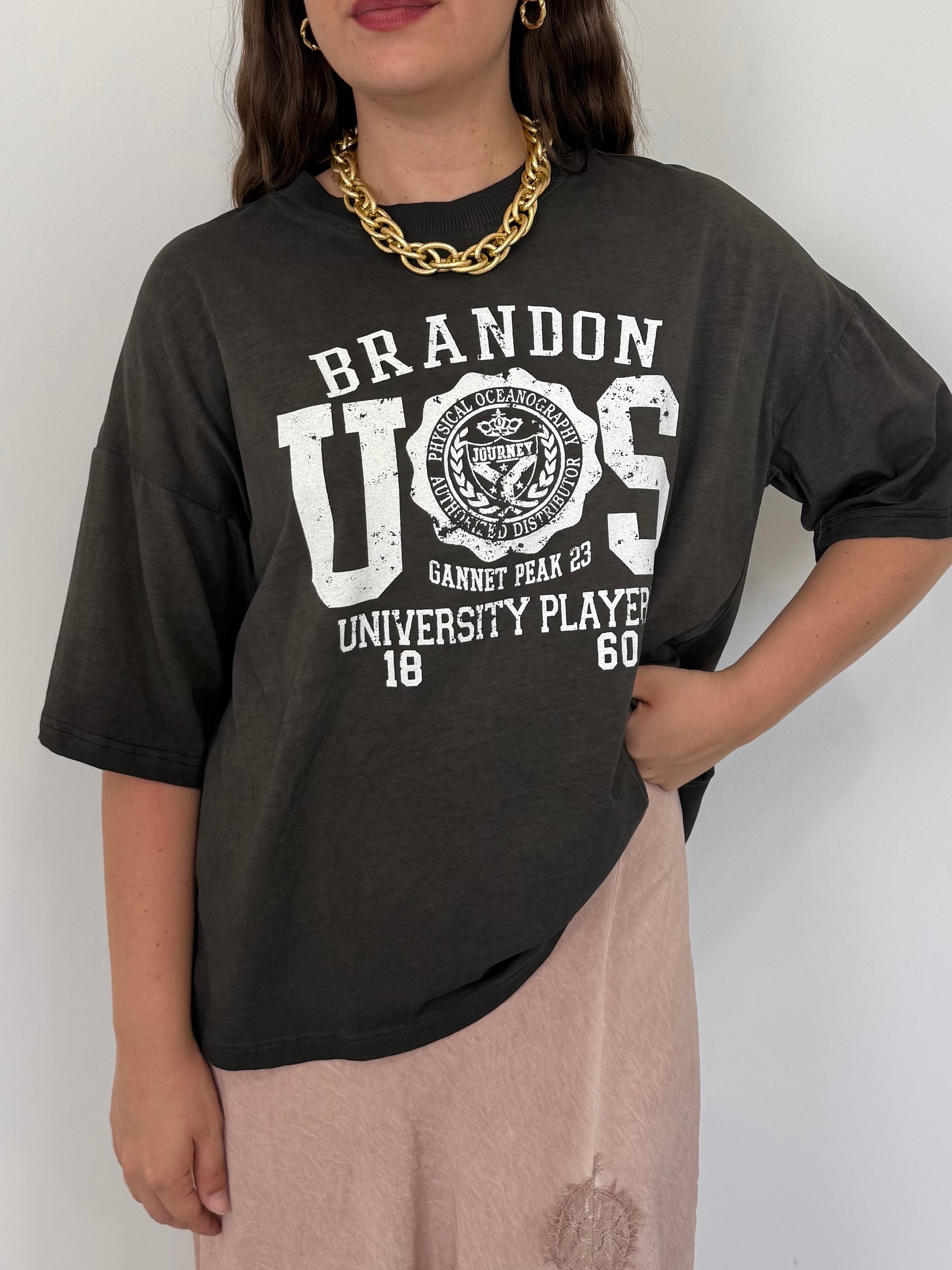 Haveone - T-shirt university