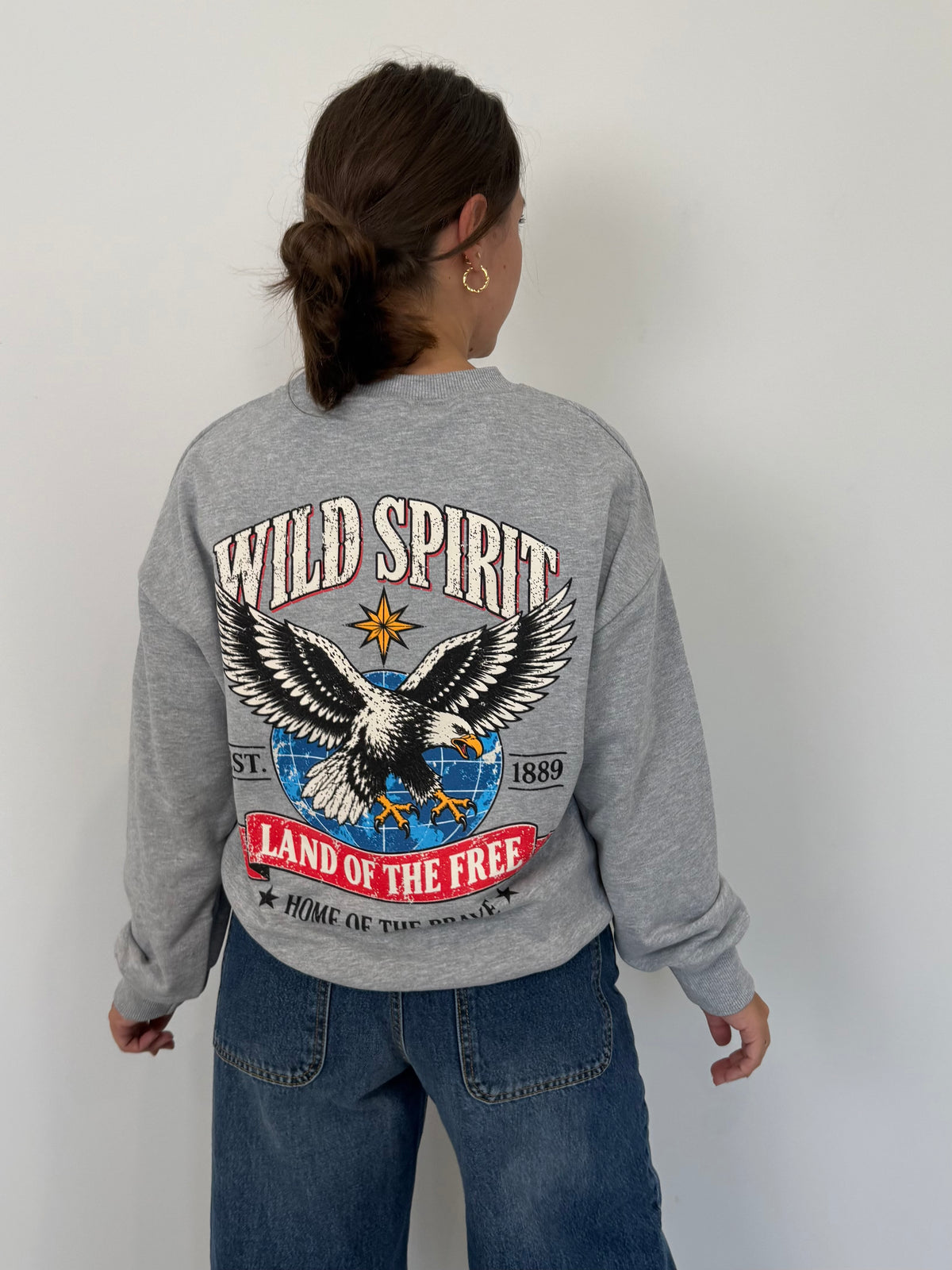 Haveone - Felpa wild spirit grigia