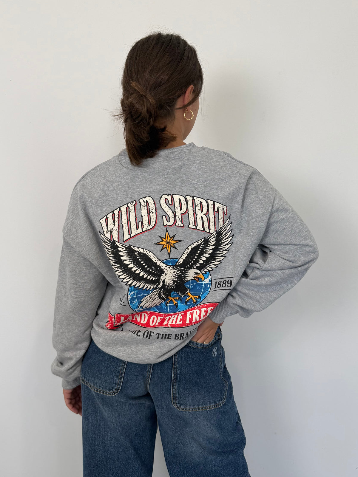 Haveone - Felpa wild spirit grigia