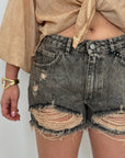 Haveone - Short sovrattinto moro